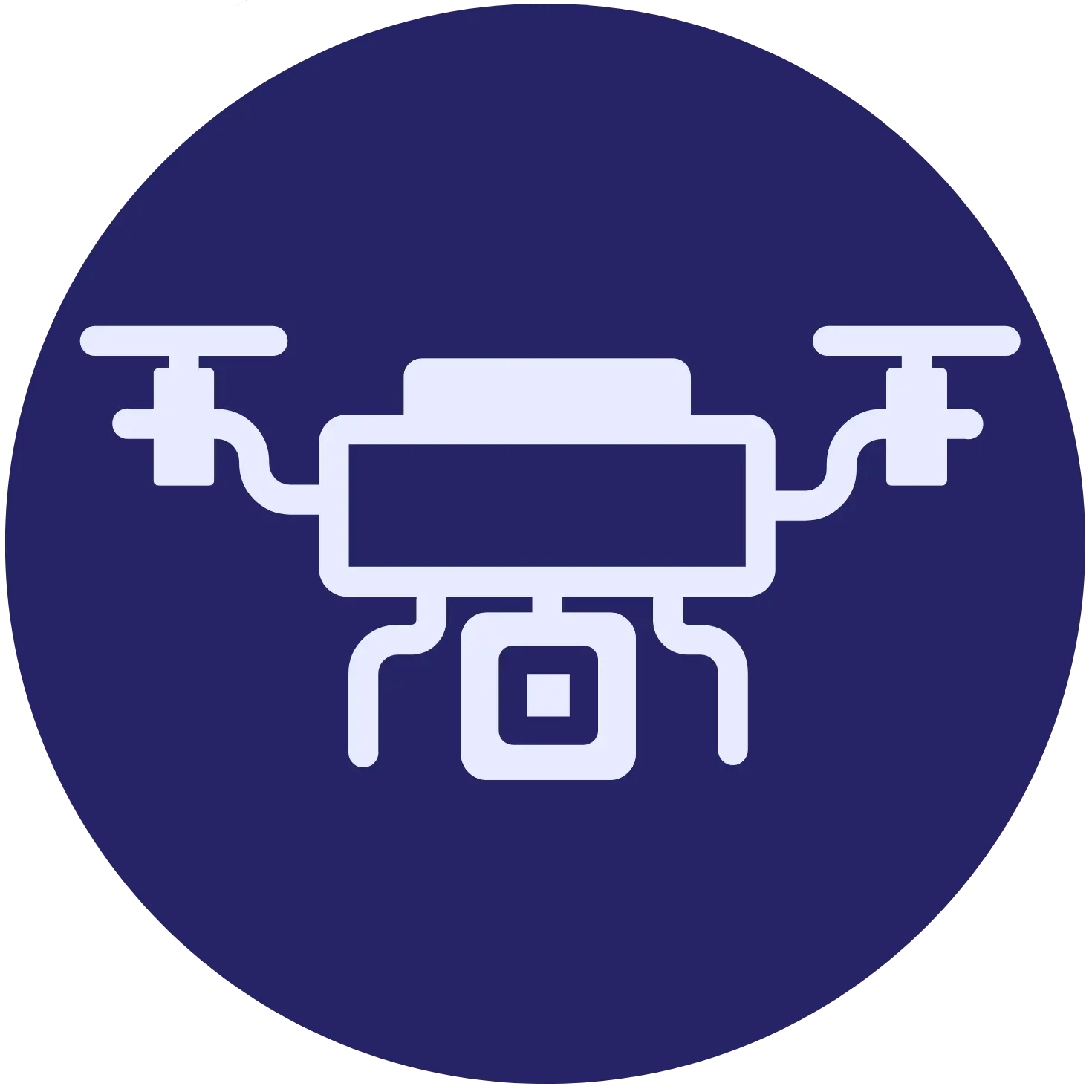 DRONE & AI ASSESSMENTS